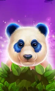 Luck Of Panda Bonus Combo